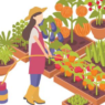 Screenshot_2021-03-04 Femme jardinière ou agriculteur arrosage des cultures poussant dans des boîtes ou des jardinières iso[...]
